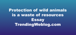 Protection of wild animals is a waste of resources