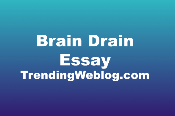 Brain Drain Essay
