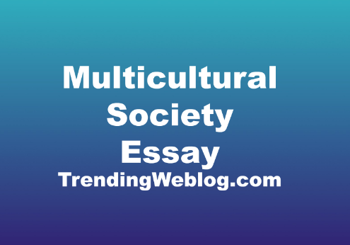 Multicultural society essay