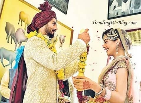 Shahid Kapoor wedding