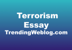 Terrorism Essay