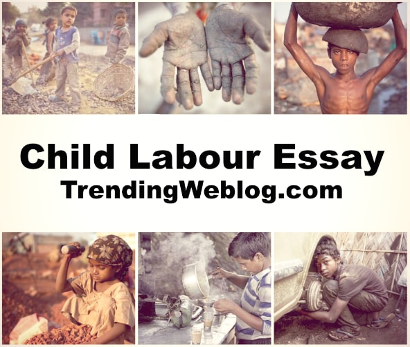 Child Labour Essay
