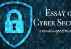 Essay on Cyber Security
