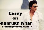 Essay on Shahrukh Khan