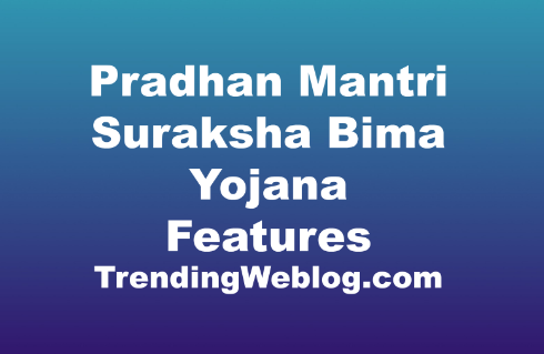 Pradhan Mantri Suraksha Bima Yojana Features