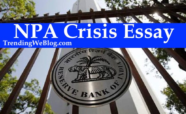 NPA Crisis Essay