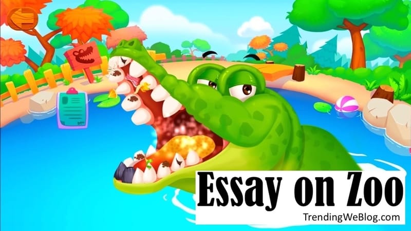 essay on zoo