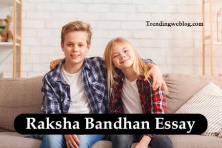 Raksha Bandhan Essay