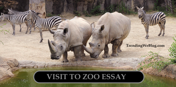 essay on visit to a zoo