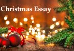 Christmas Essay