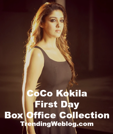 CoCo Kokila Telugu Movie First Day Friday Box Office Collection