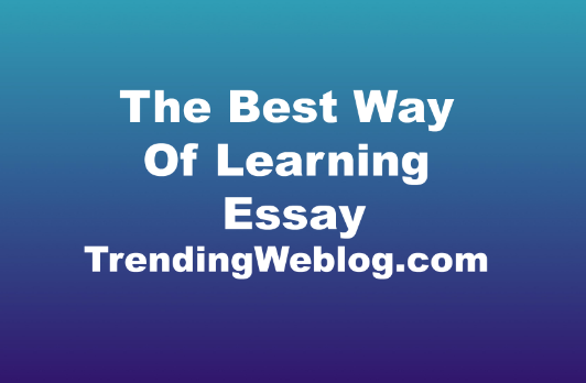 The Best Way Of Learning Essay
