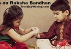 10 lines on Raksha Bandhan