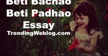 Beti Bachao Beti Padhao Essay