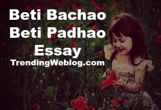 Beti Bachao Beti Padhao Essay