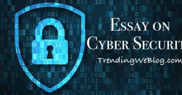 Essay on Cyber Security