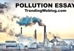 Essay On Pollution