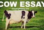 Short Essay on Cow