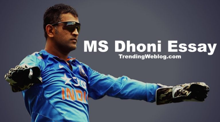 my favourite sportsperson essay in english ms dhoni