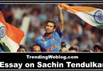 Essay on Sachin Tendulkar