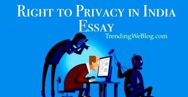 Right to Privacy in India Essay