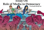 essay on role of media in democracy