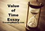 Value of Time Essay