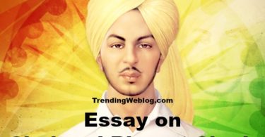 bhagat singh essay