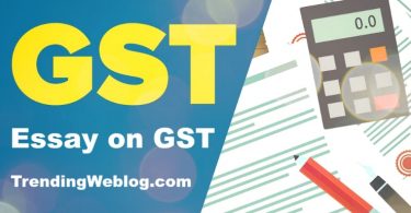 essay on gst