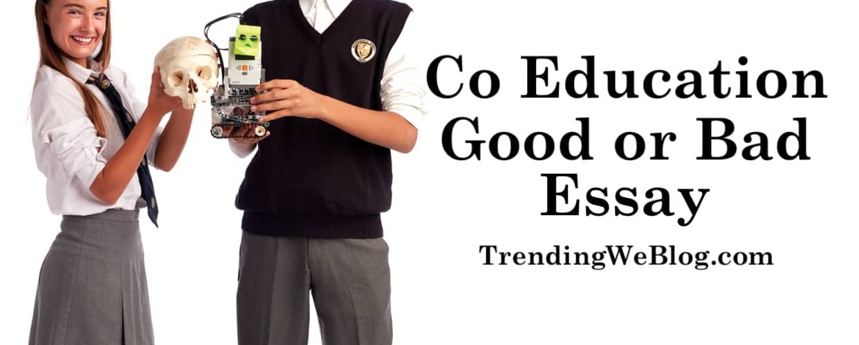 Co Education is Good or Bad Essay