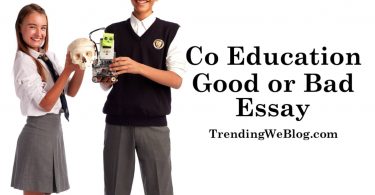 Co Education is Good or Bad Essay