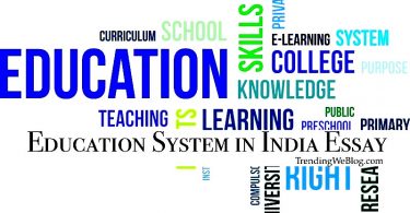 Education System in India Essay