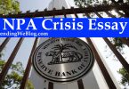 NPA Crisis Essay
