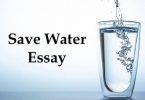 Save Water Essay