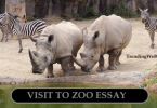 Visit to Zoo Essay