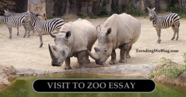 Visit to Zoo Essay