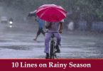10 Lines on Rainy Season