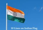 10 Lines on Indian Flag
